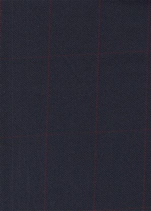 Navy with Burgundy Check
