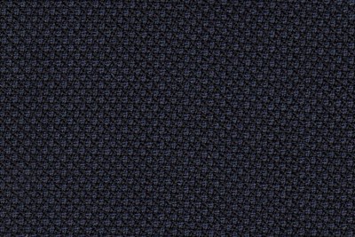 Navy birdseye