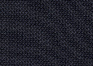 Navy birdseye