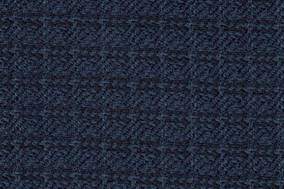 Small Navy / Blue check