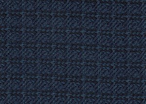 Small Navy / Blue check