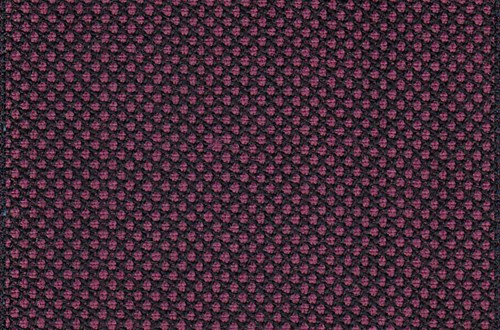 Pink Birdseye
