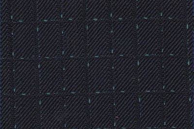 Dark Navy with Green Dot check