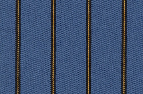 Sky Blue/Black/Gold Stripe