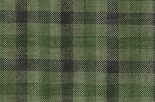 Green Black