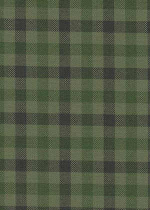 Green Black