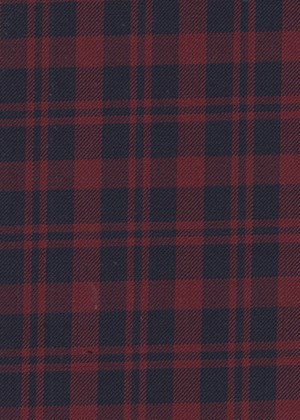 Red Navy