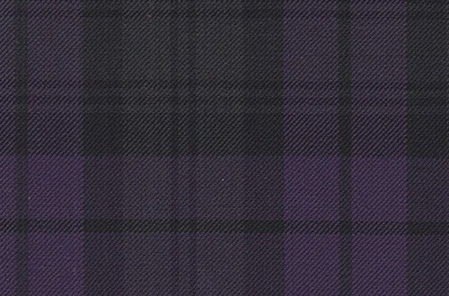 Purple Watch