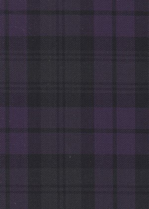Purple Watch