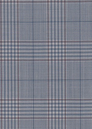 Blue White Prince of Wales