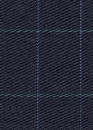 Navy with blue / Green check