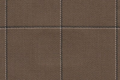 Brown with black/whte check