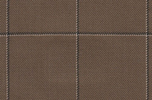 Brown with black/whte check