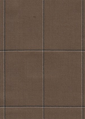 Brown with black/whte check
