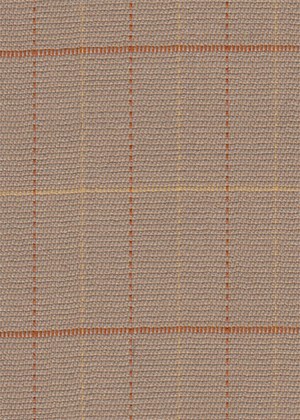Fawn with orange / yellow check