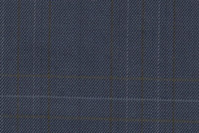 Blue with Green / blue check