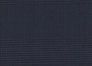 Navy With Black Check