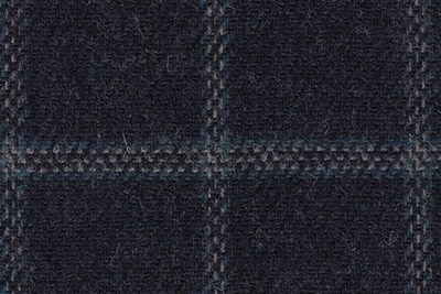 Navy With blue check
