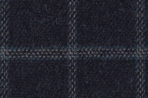 Navy With blue check