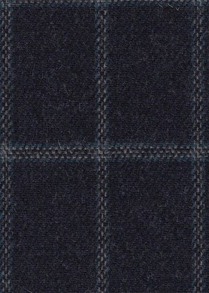 Navy With blue check