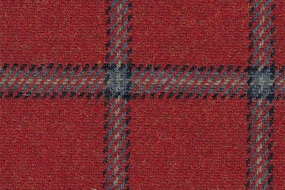 Red with Navy check