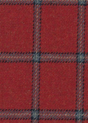 Red with Navy check