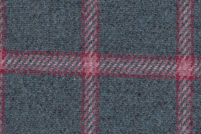 Turquoise with pink check