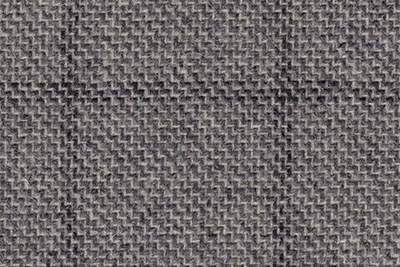 Grey with Black check