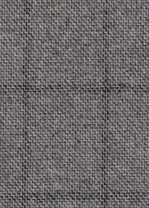 Grey with Black check
