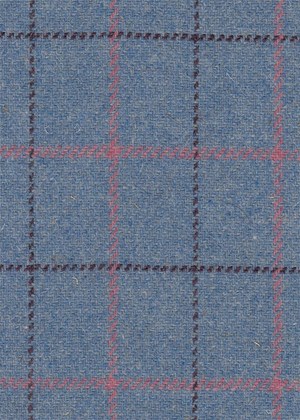 Light blue with pink & plum check