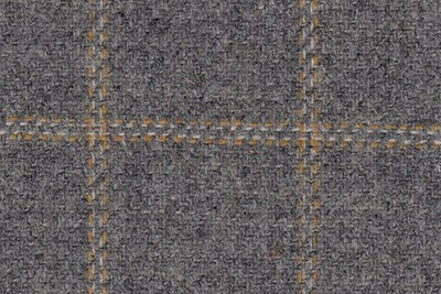 Grey with gold check