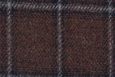 Brown with black & Lt Blue check