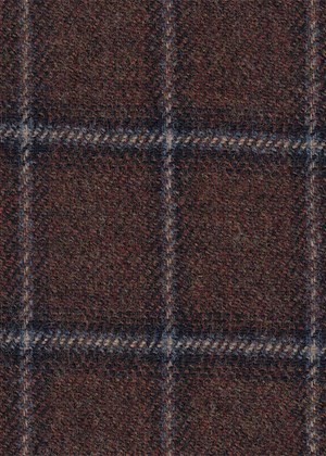 Brown with black & Lt Blue check