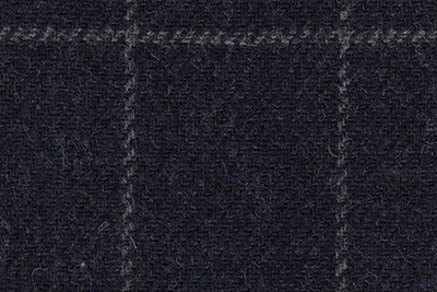 Navy with grey check