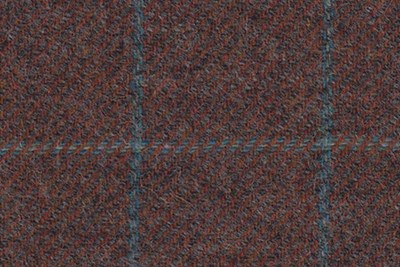 Brown with light blue check