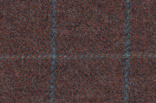Brown with light blue check
