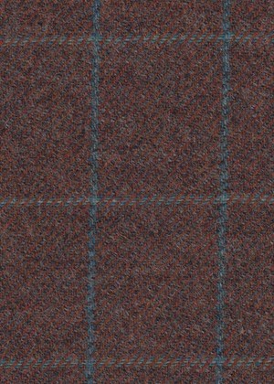 Brown with light blue check