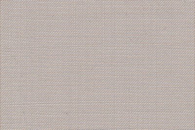 Plain Beige