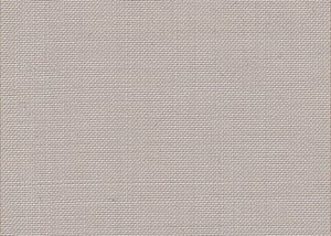 Plain Beige