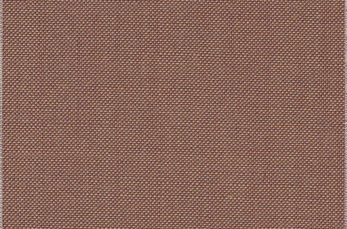 Plain Tan