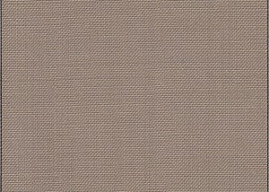 Plain Beige