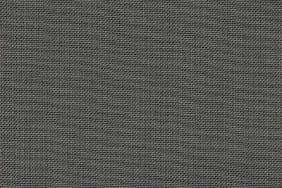Plain Dusty Green