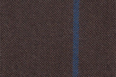Brown with Blue check