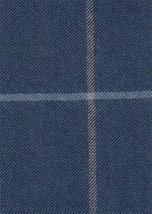 Blue with Ivory / light blue check