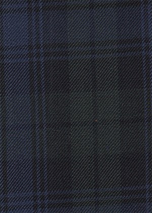 Black with green and blue check