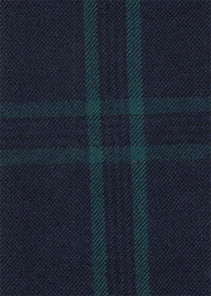 Navy with green check
