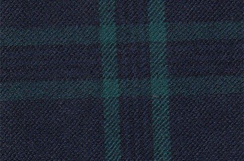 Navy with green check