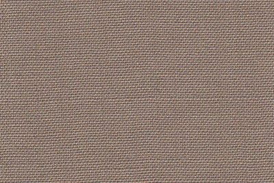 Plain Beige