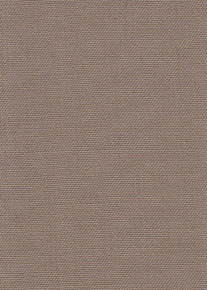 Plain Beige