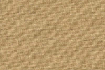 Plain Gold